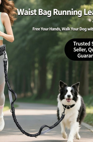 Home retractable bungee hands free dog walking belt with storage pouch